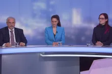 Závazek trvající dvacet let je třeba naplnit, říká Gregorová o euru. Rozhodnout se mají občané na základě objektivních informací, míní David
