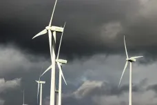 Větrné elektrárny by mohly růst i ve státních lesích