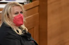 Evropská komise odmítla žádost o odklad, česká opatření proti střetu zájmů chce znát do středy
