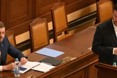 Stranám ubývají členové. Rozrůstají se jen SPD a STAN