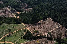 „Plíce planety“ mají zánět. Emise z Amazonie se za Bolsonara prudce zvýšily