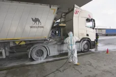 Dezinfekce kvůli prevenci slintavky už vyšla na 4,5 milionu