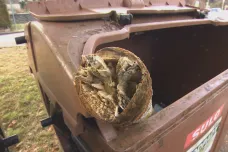 Vandalové poškodili stromky ve Žďáru nad Sázavou