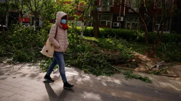 Následky silného větru v Pekingu
