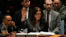 Zástupkyně USA při OSN Dorothy Camille Sheaová hlasuje pro americkou rezoluci v Radě bezpečnosti OSN