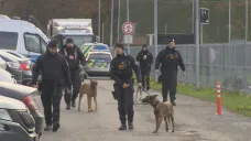 Policejní pátrání