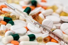 Švýcarský výrobce léků Roche investuje v USA více než bilion korun