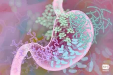 Hledají se super-dárci stolice. Při transplantaci jsou až dvakrát úspěšnější