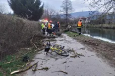 Jihomoravské hasiče zaměstnal silný vítr, lámal stromy